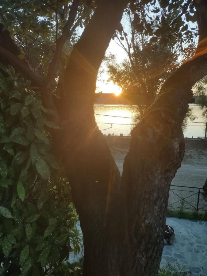 Villa Bora Kuce Na Reci Belgrad Exterior foto