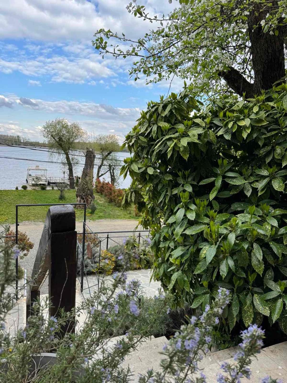 Villa Bora Kuce Na Reci Belgrad Exterior foto